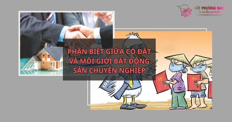 PHÂN BIỆT GIỮA CÒ ĐẤT VÀ MÔI GIỚI BẤT ĐỘNG SẢN CHUYÊN NGHIỆP